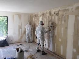 Forensic Mold Investigation